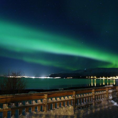 Vikran Vacation: Sea Fishing And Northern Lights Buitenkant foto
