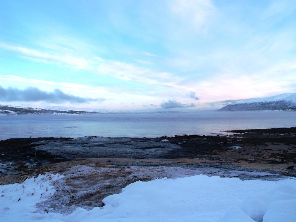 Vikran Vacation: Sea Fishing And Northern Lights Buitenkant foto