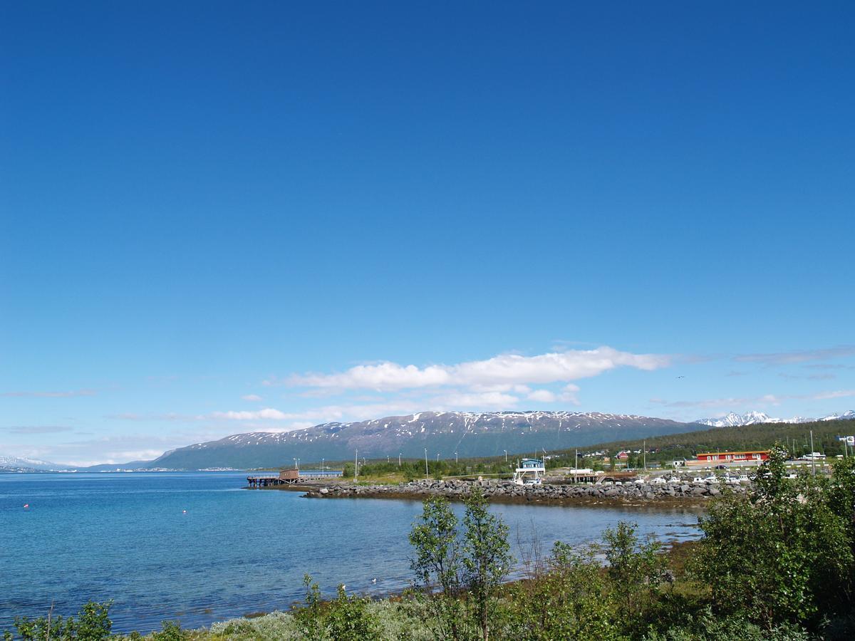 Vikran Vacation: Sea Fishing And Northern Lights Buitenkant foto