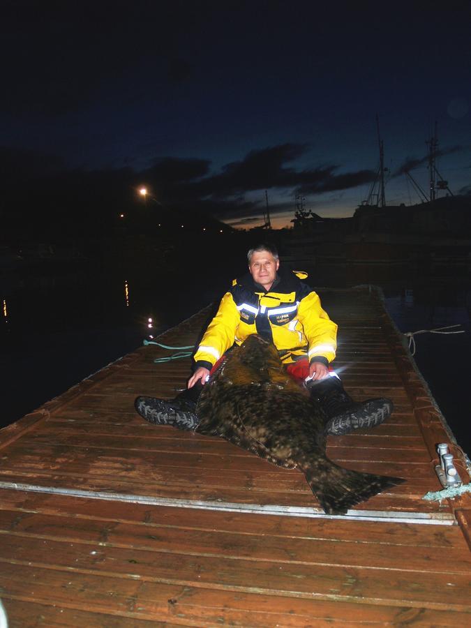Vikran Vacation: Sea Fishing And Northern Lights Buitenkant foto