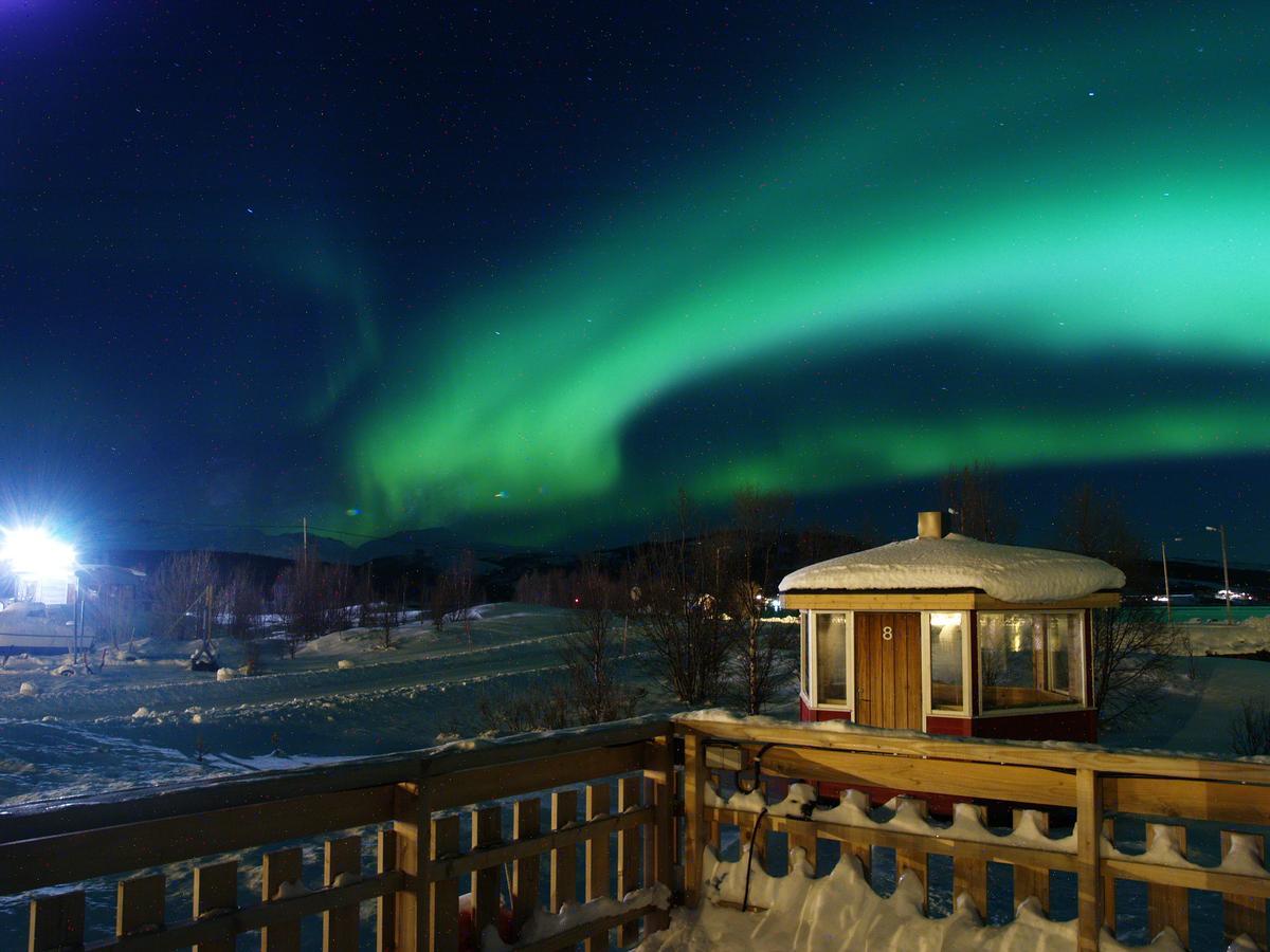 Vikran Vacation: Sea Fishing And Northern Lights Buitenkant foto