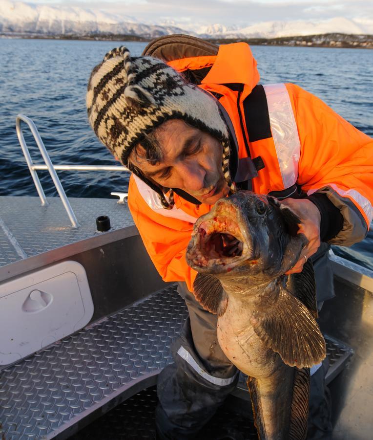 Vikran Vacation: Sea Fishing And Northern Lights Buitenkant foto
