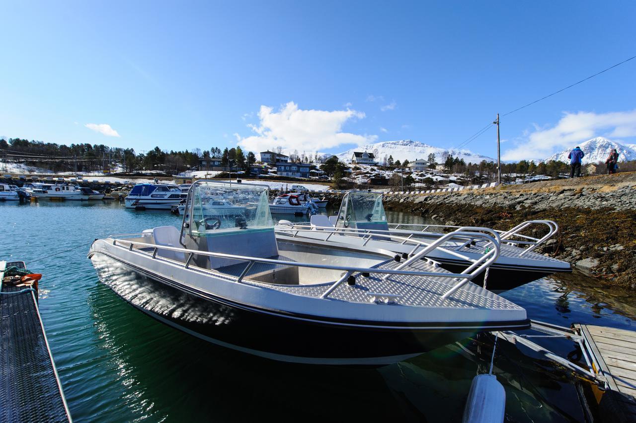 Vikran Vacation: Sea Fishing And Northern Lights Buitenkant foto