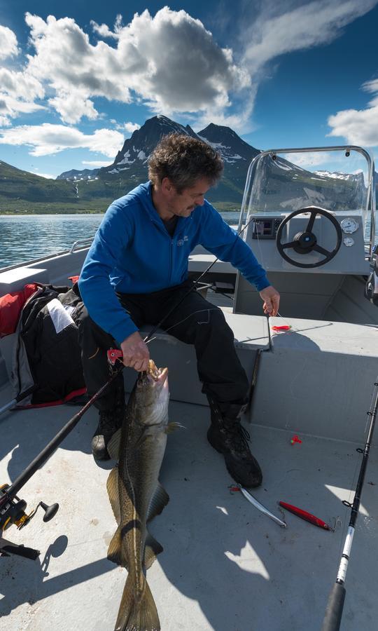 Vikran Vacation: Sea Fishing And Northern Lights Buitenkant foto