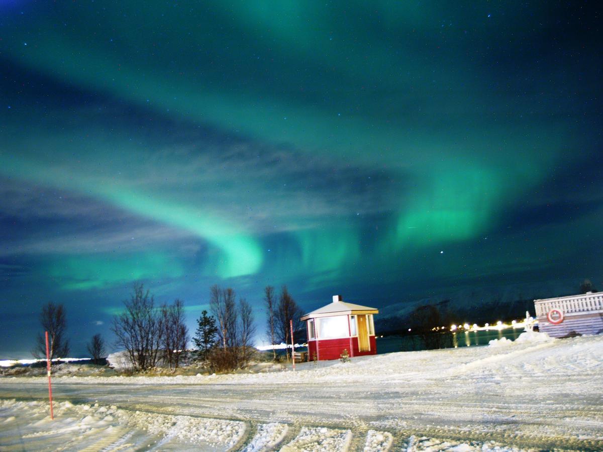 Vikran Vacation: Sea Fishing And Northern Lights Buitenkant foto