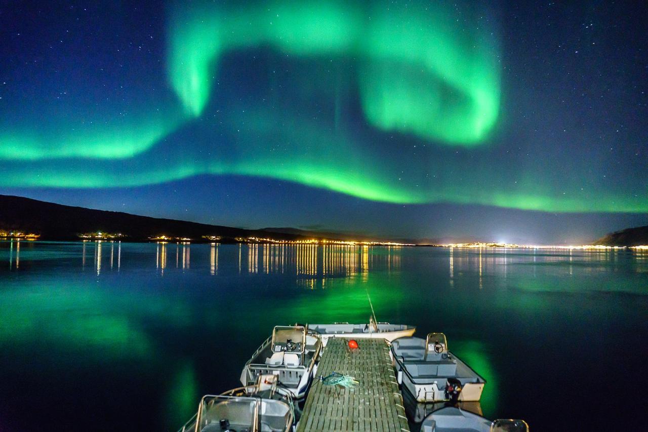 Vikran Vacation: Sea Fishing And Northern Lights Buitenkant foto