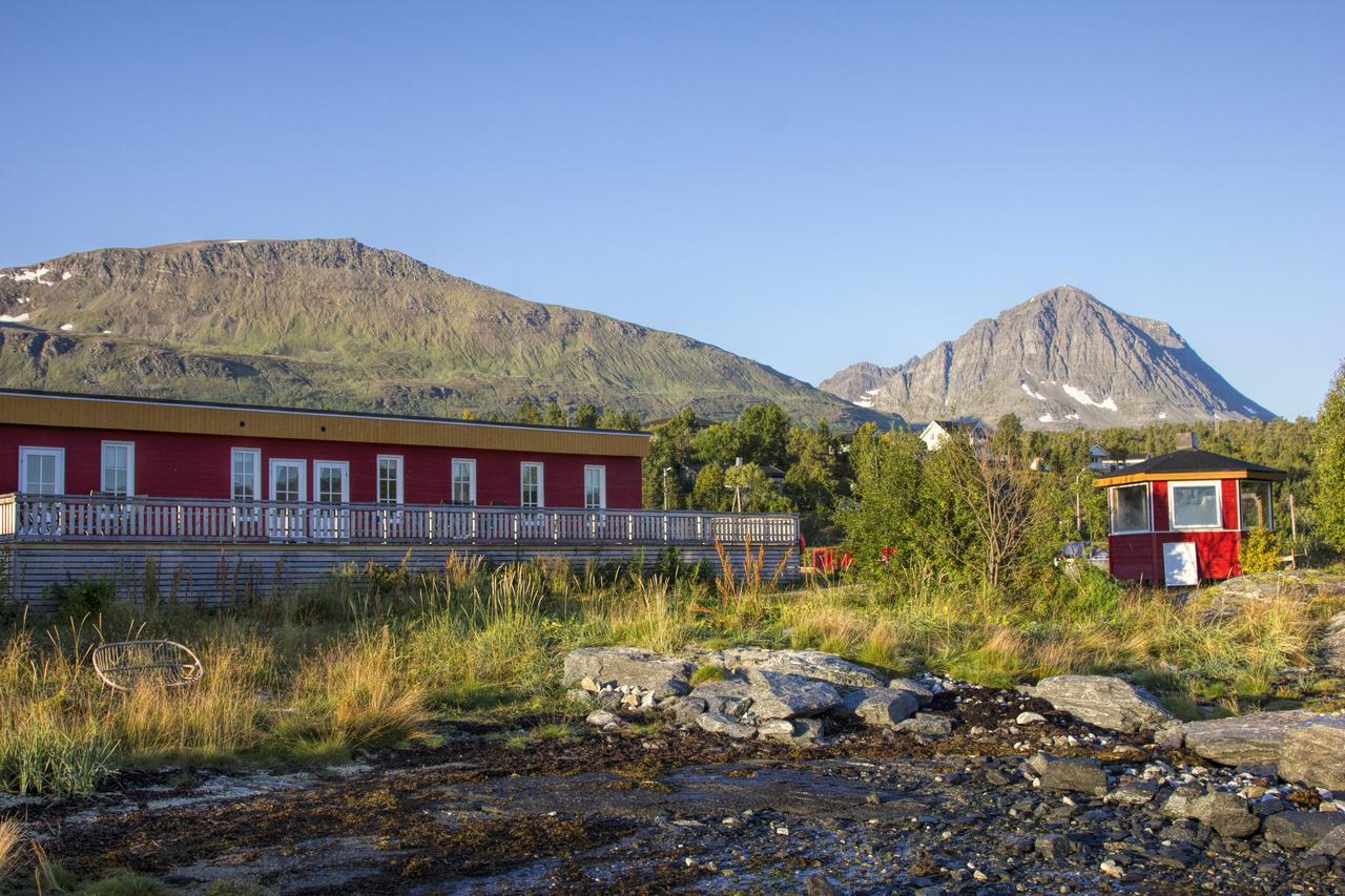 Vikran Vacation: Sea Fishing And Northern Lights Buitenkant foto