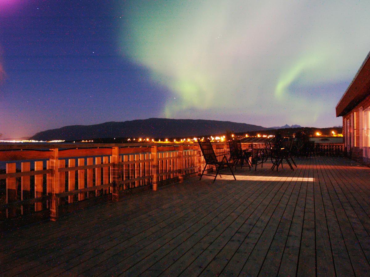 Vikran Vacation: Sea Fishing And Northern Lights Buitenkant foto