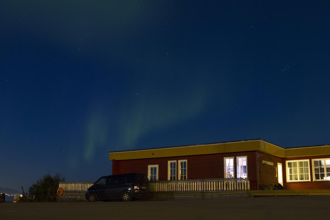 Vikran Vacation: Sea Fishing And Northern Lights Buitenkant foto