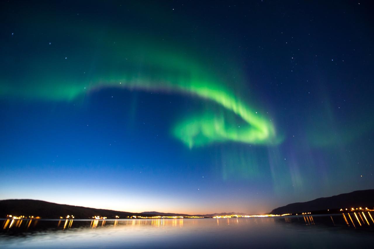 Vikran Vacation: Sea Fishing And Northern Lights Buitenkant foto