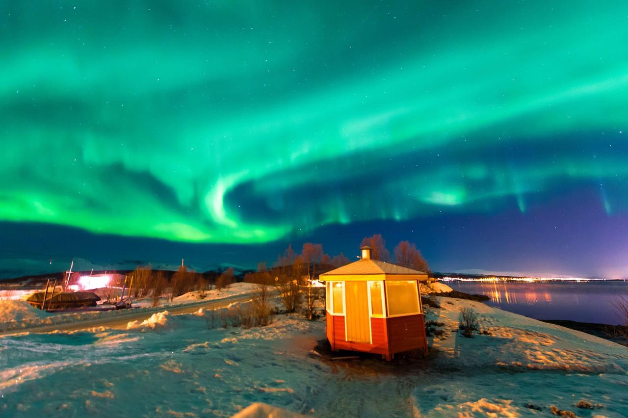 Vikran Vacation: Sea Fishing And Northern Lights Buitenkant foto